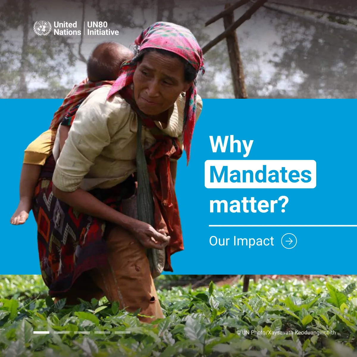 Carousel opener: Why Mandates matter? over a photo of a woman working in a tea field